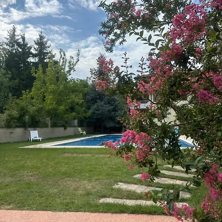 Sunny Seasons View Sea&pool דירה